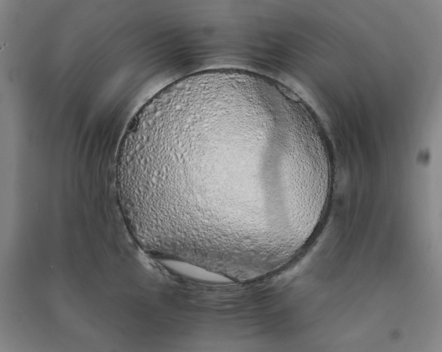 X0000090901145200708201712