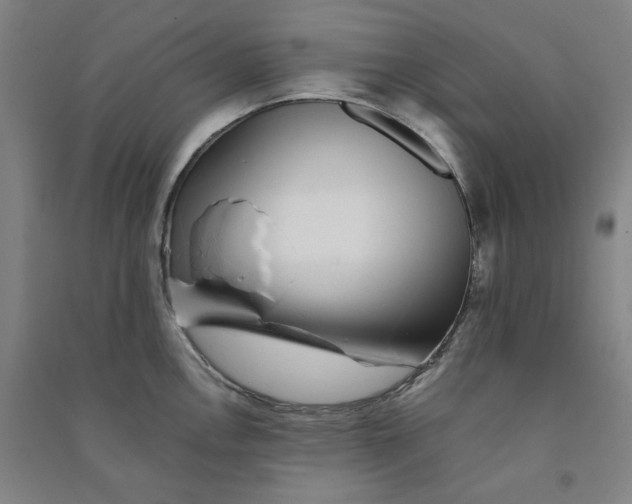 X0000090901146200708201712