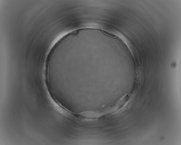 X0000090901147200708201712