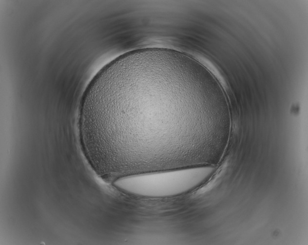 X0000090901149200708201712