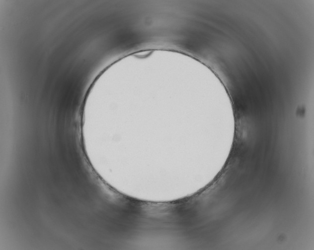 X0000090901150200708201712