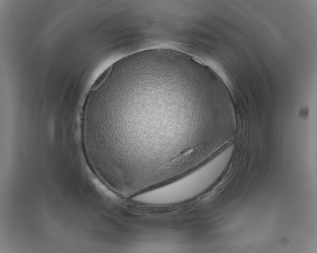 X0000090901151200708201712