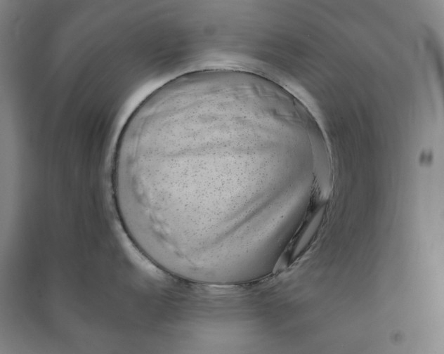 X0000090901152200708201712