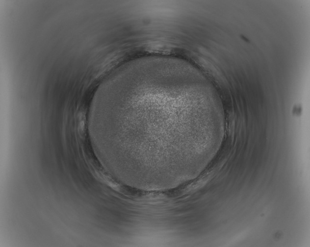 X0000090901154200708201711