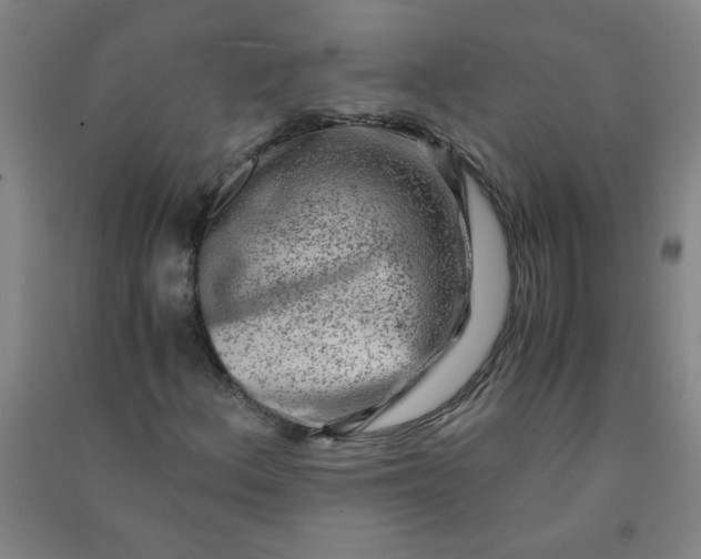 X0000090901156200708201711