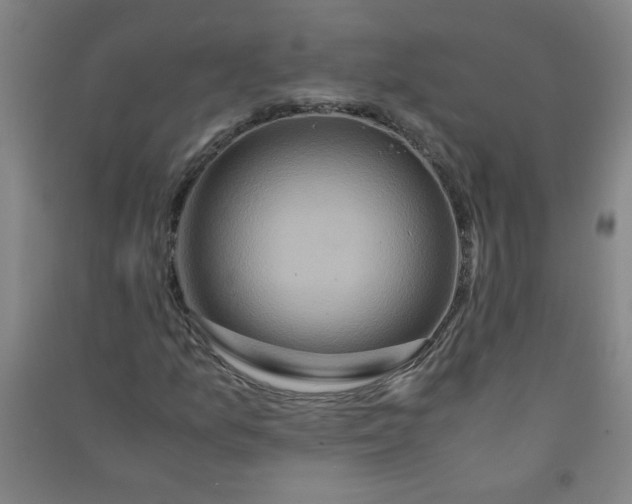 X0000090901157200708201711