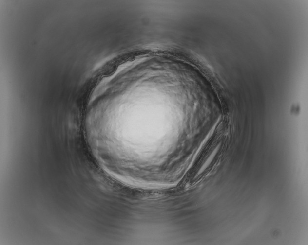 X0000090901158200708201711