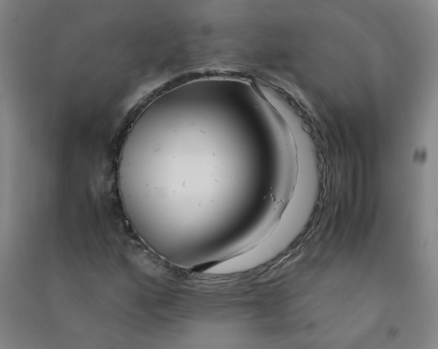 X0000090901160200708201711