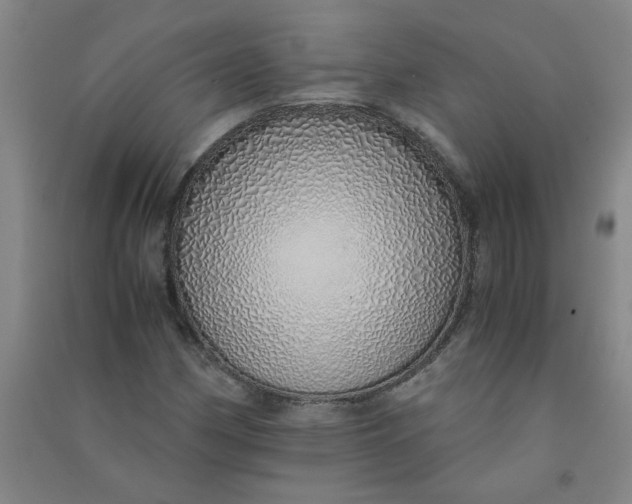 X0000090901162200708201711