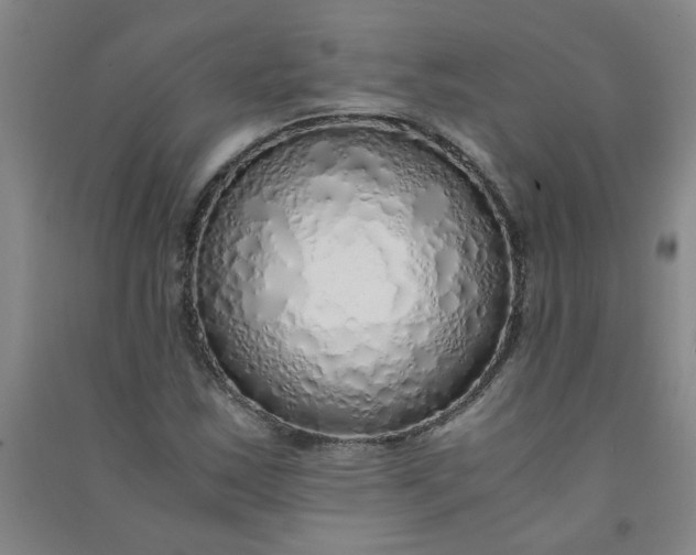 X0000090901163200708201711