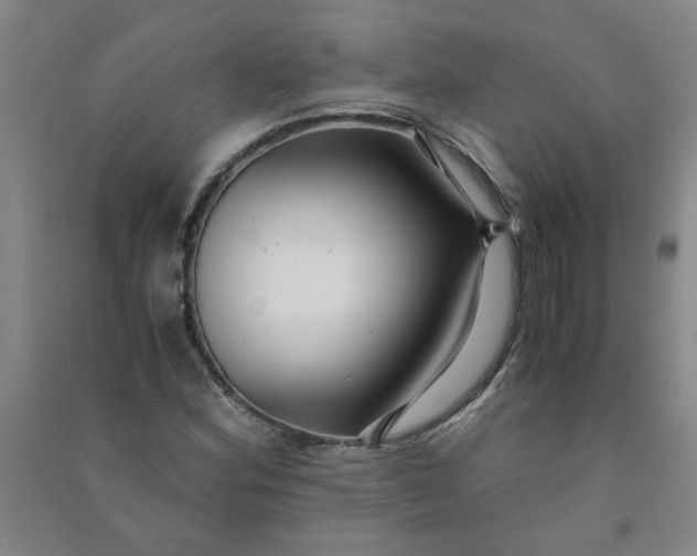 X0000090901164200708201711