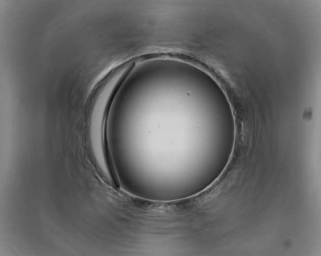 X0000090901165200708201711