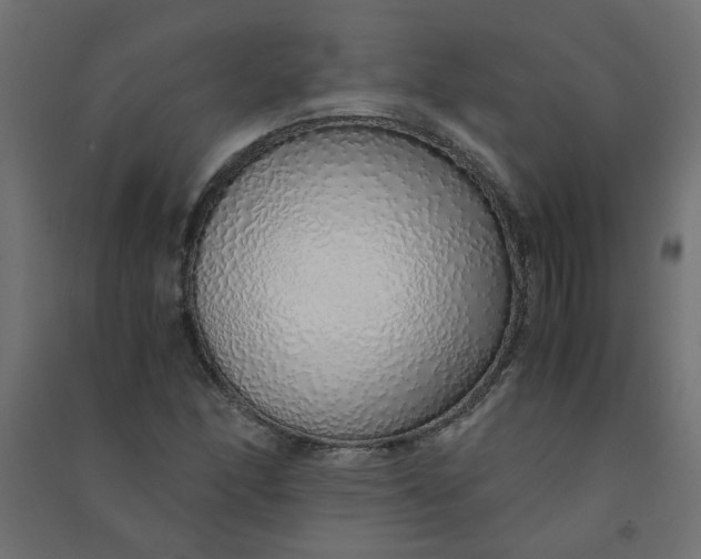 X0000090901166200708201711