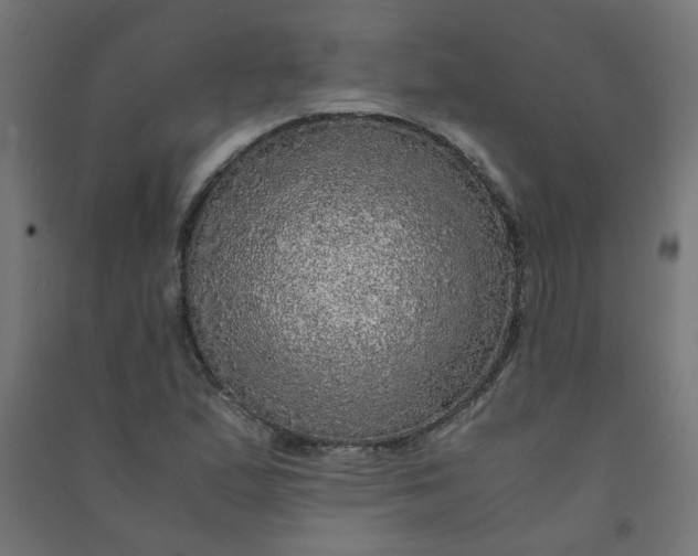 X0000090901167200708201711