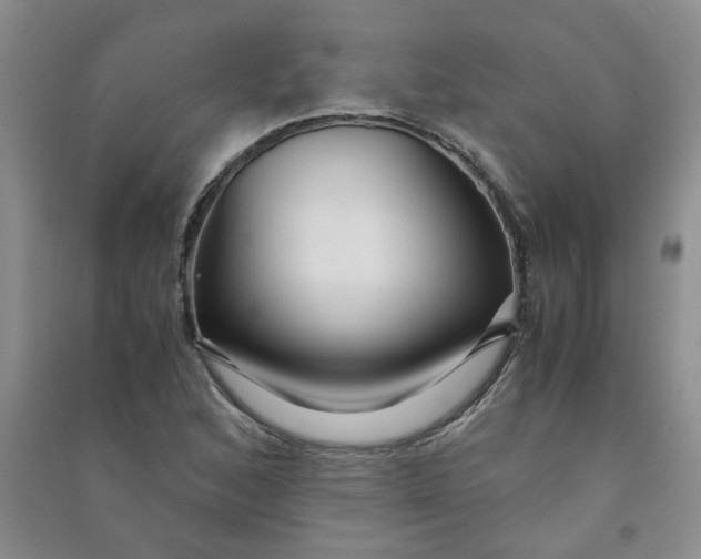 X0000090901168200708201711