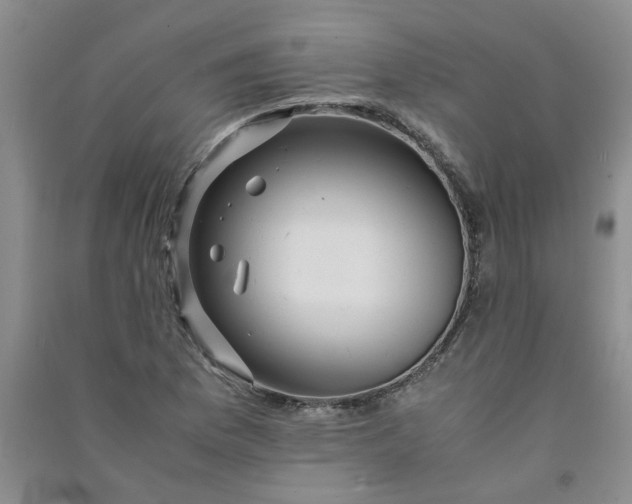 X0000090901169200708201711