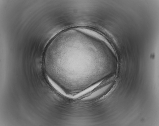 X0000090901170200708201711