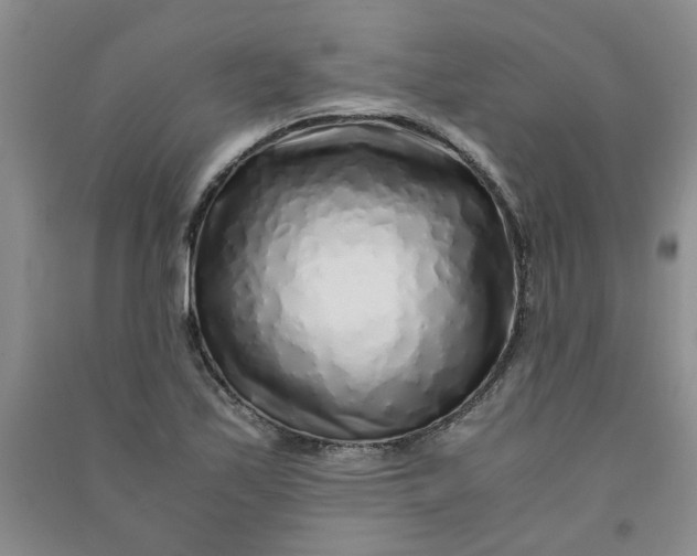 X0000090901171200708201711