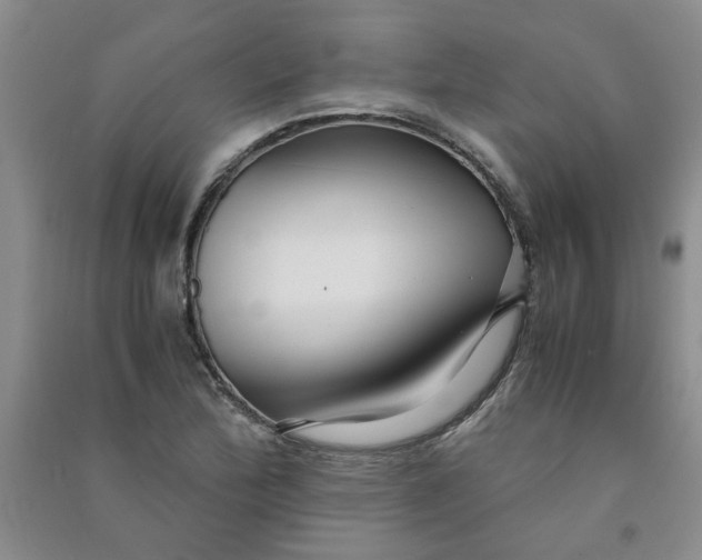 X0000090901172200708201711