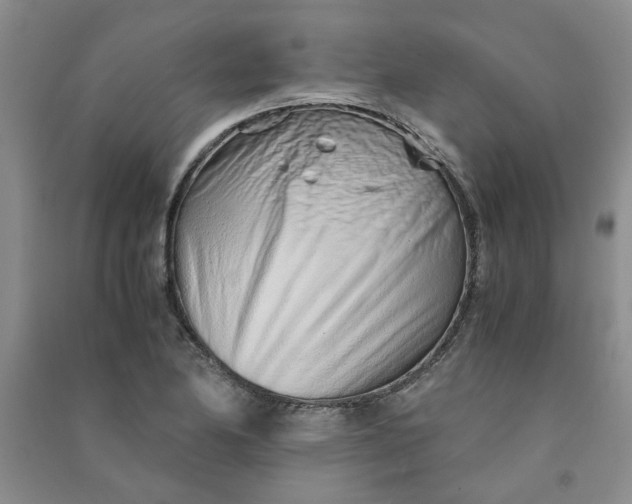 X0000090901174200708201711