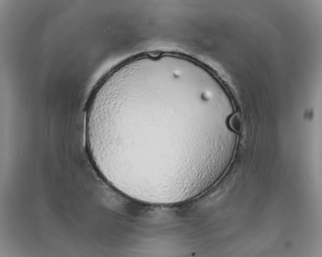 X0000090901175200708201711