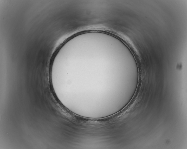 X0000090901176200708201711