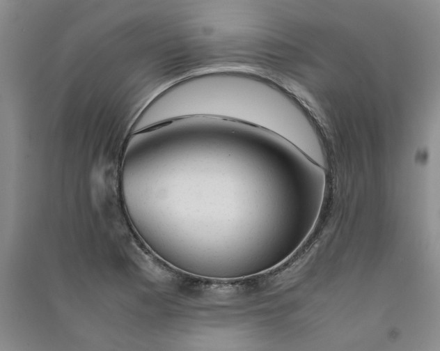 X0000090901177200708201711