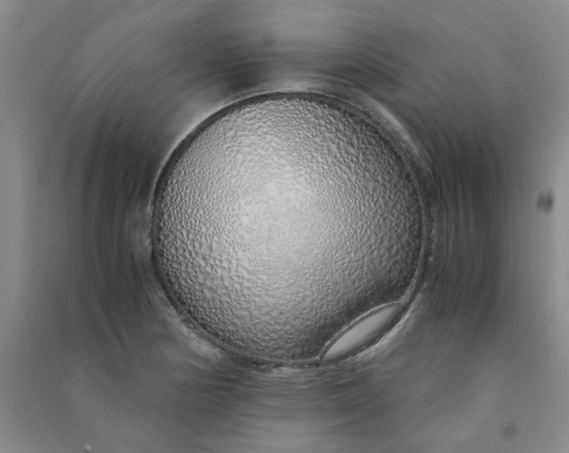 X0000090901178200708201711