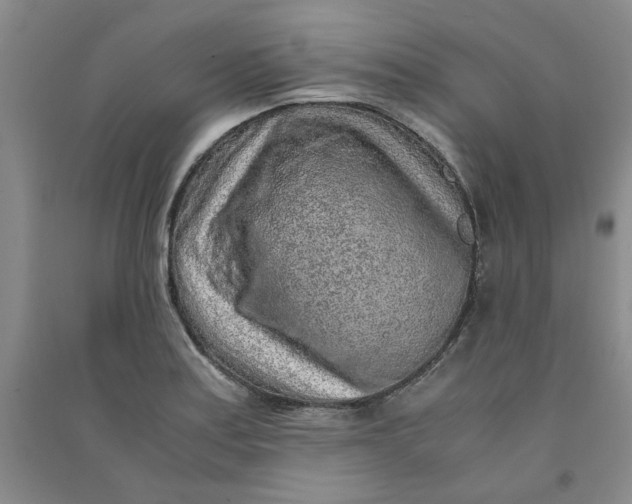 X0000090901179200708201711