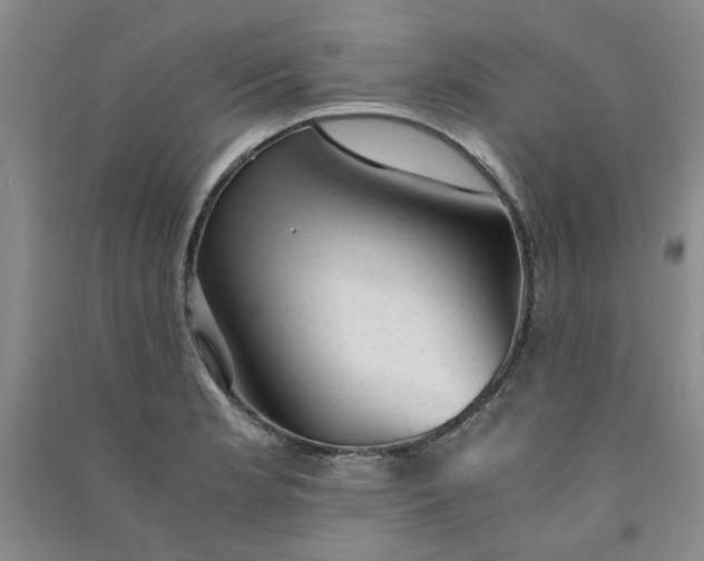 X0000090901181200708201711