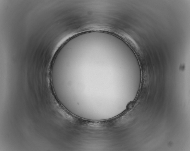 X0000090901182200708201711