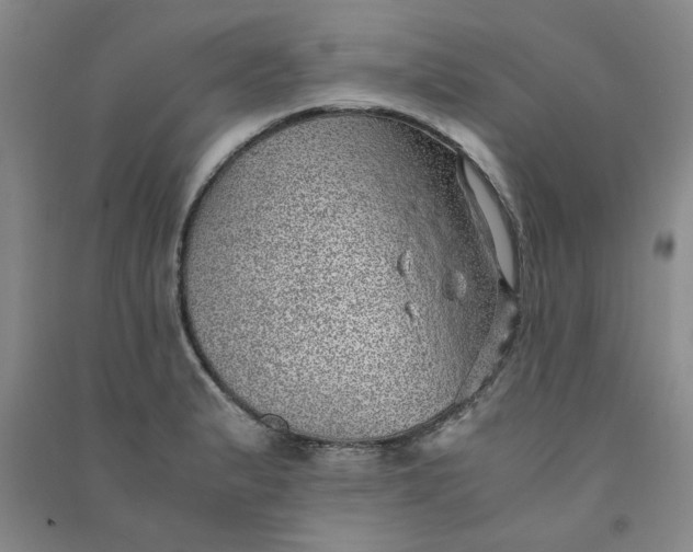 X0000090901183200708201711