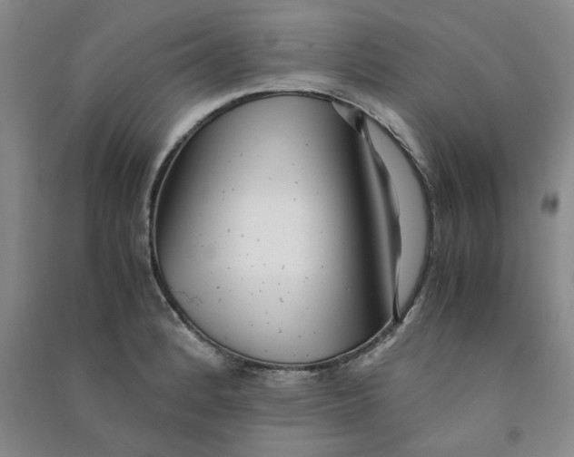 X0000090901184200708201711