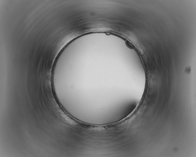 X0000090901186200708201711