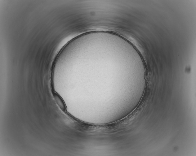 X0000090901187200708201711