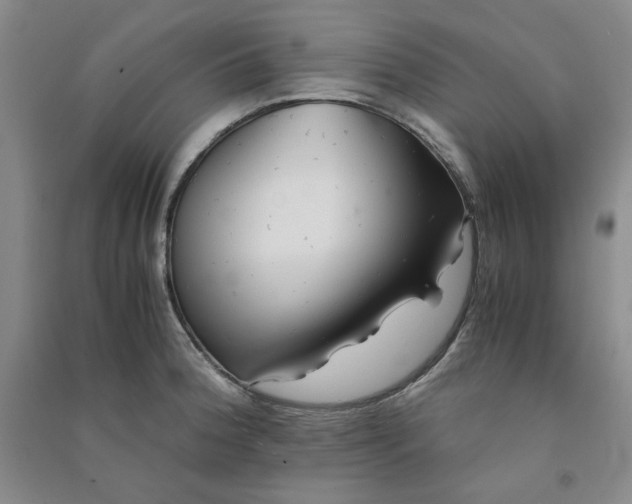 X0000090901188200708201711