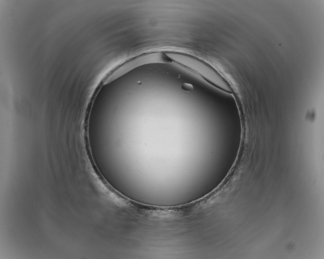 X0000090901189200708201711