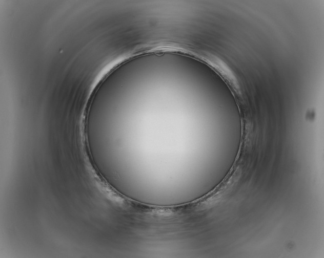 X0000090901190200708201711