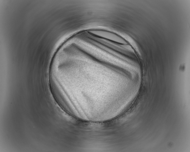 X0000090901191200708201711