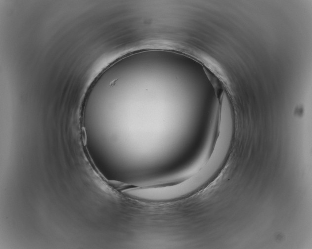 X0000090901192200708201711