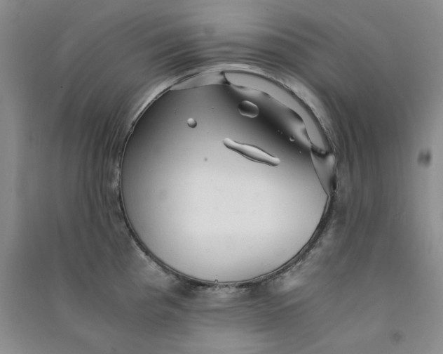 X0000090901193200708201711