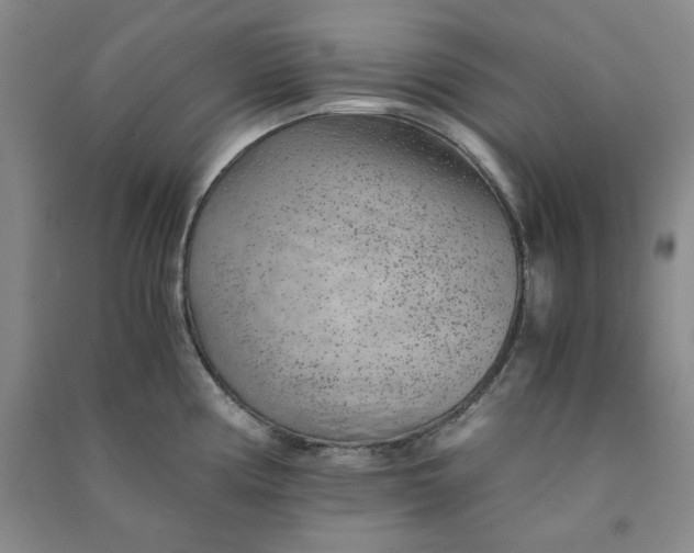 X0000090901194200708201711