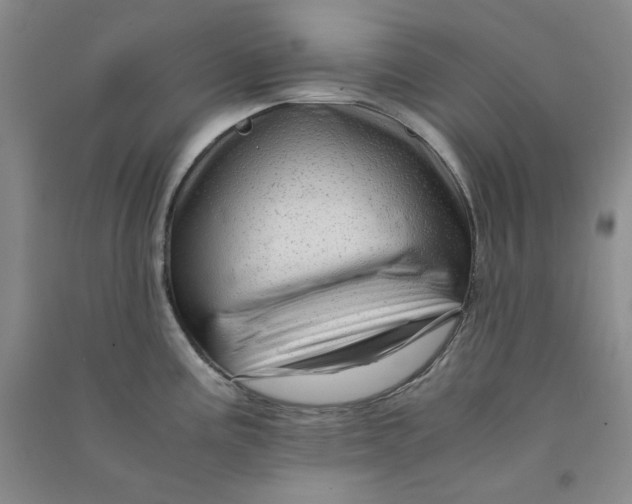 X0000090901195200708201711