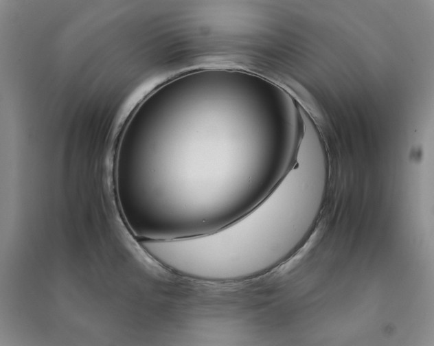 X0000090901196200708201711