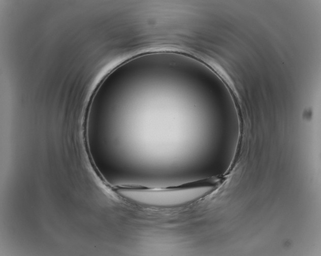 X0000090901197200708201711