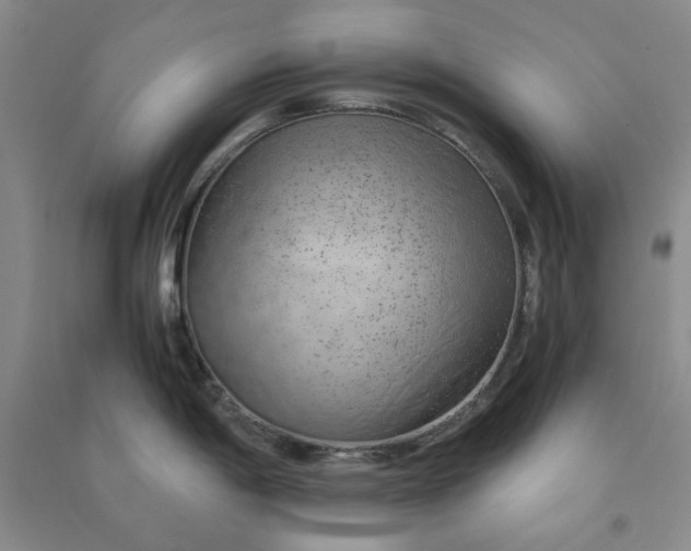 X0000090901198200708201711