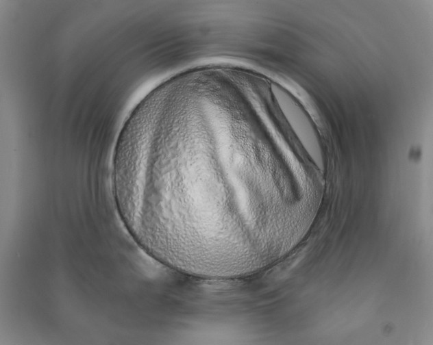 X0000090901199200708201711