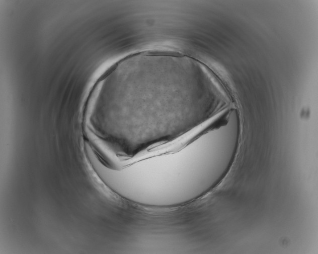 X0000090901200200708201711