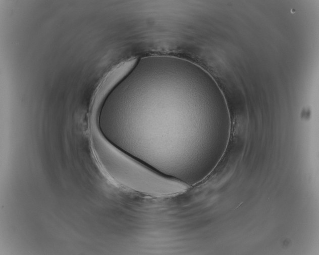 X0000090901202200708201710