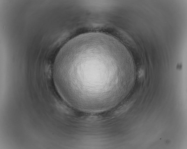 X0000090901204200708201710